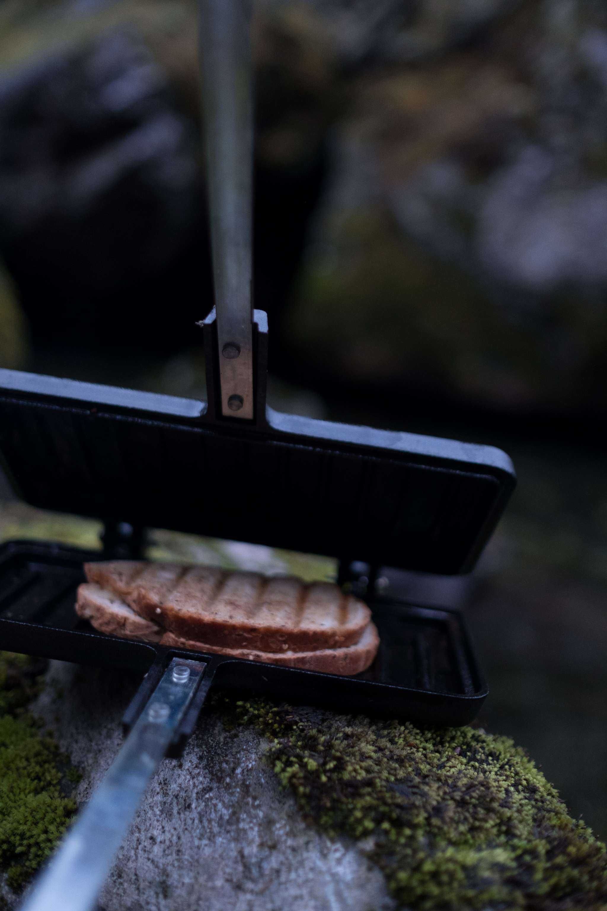 Toastjern