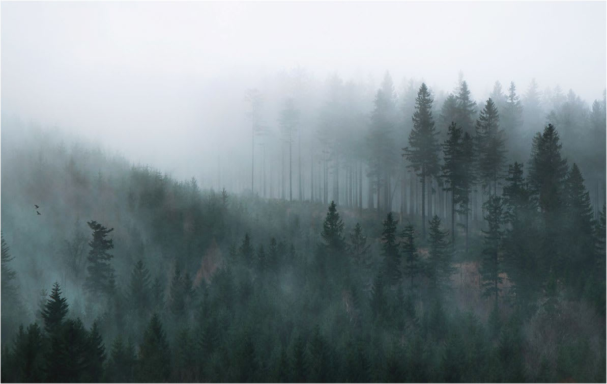Espegard Norge