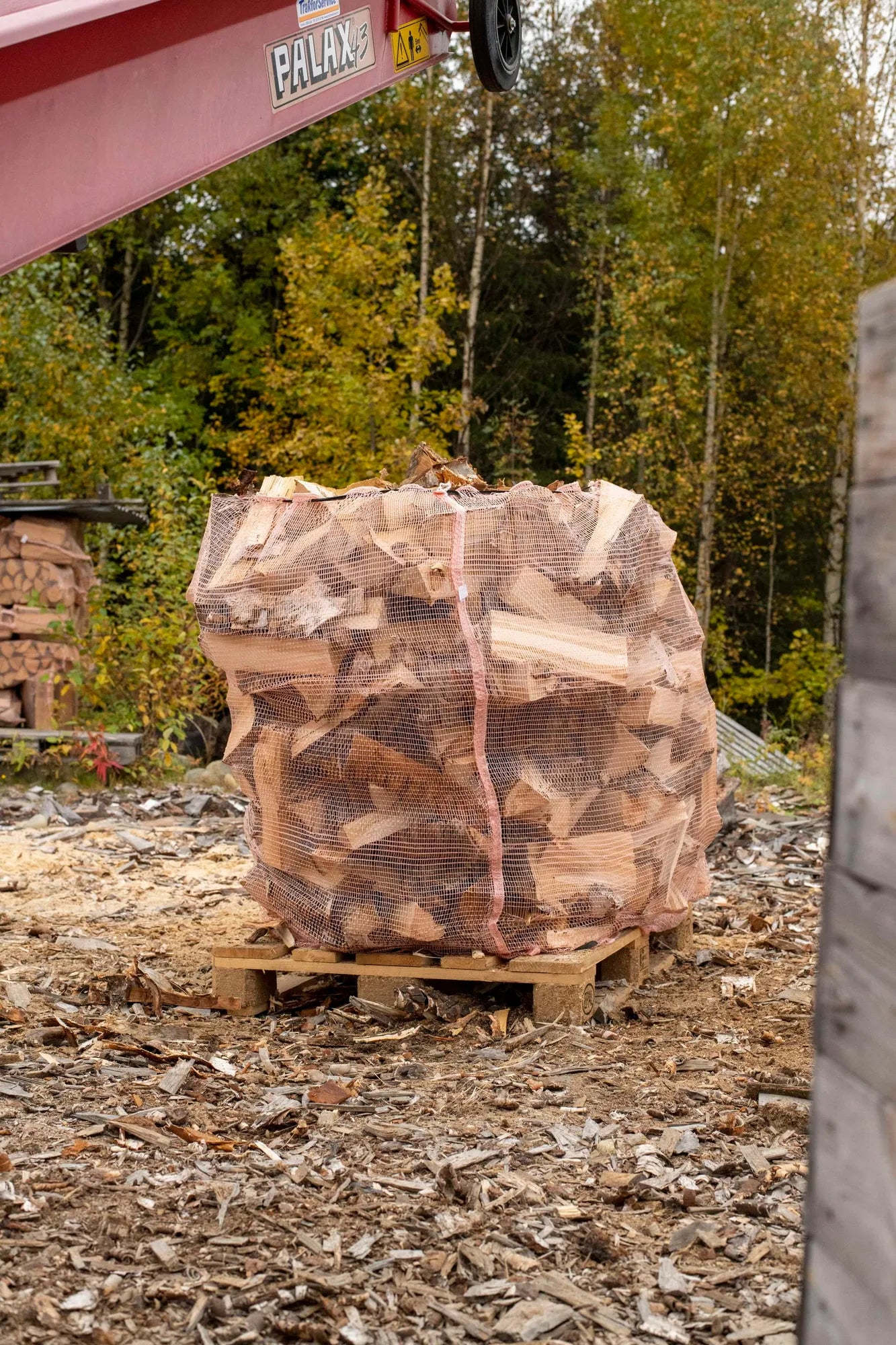 113-env-summer-1