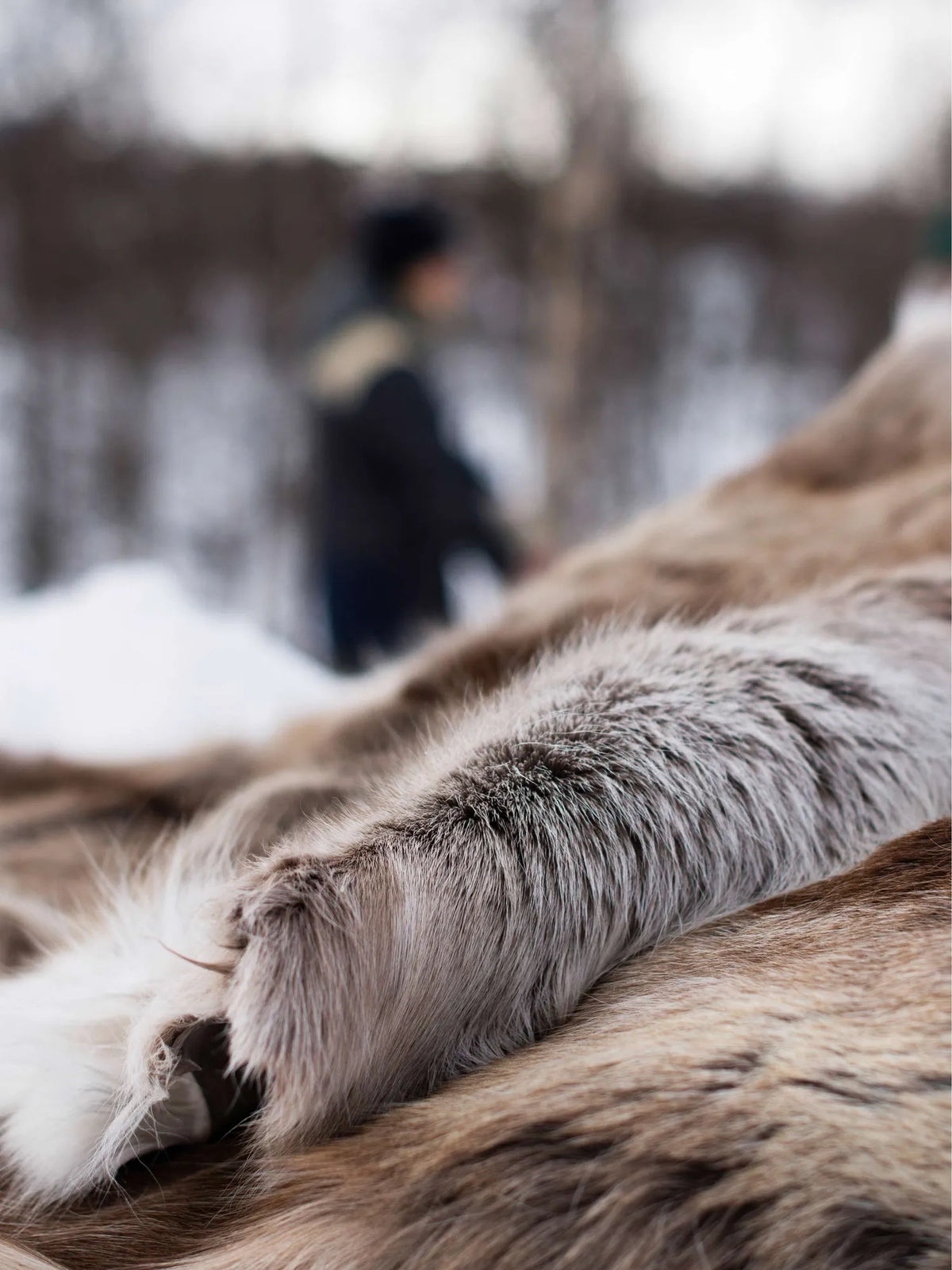 5010-env-winter-1