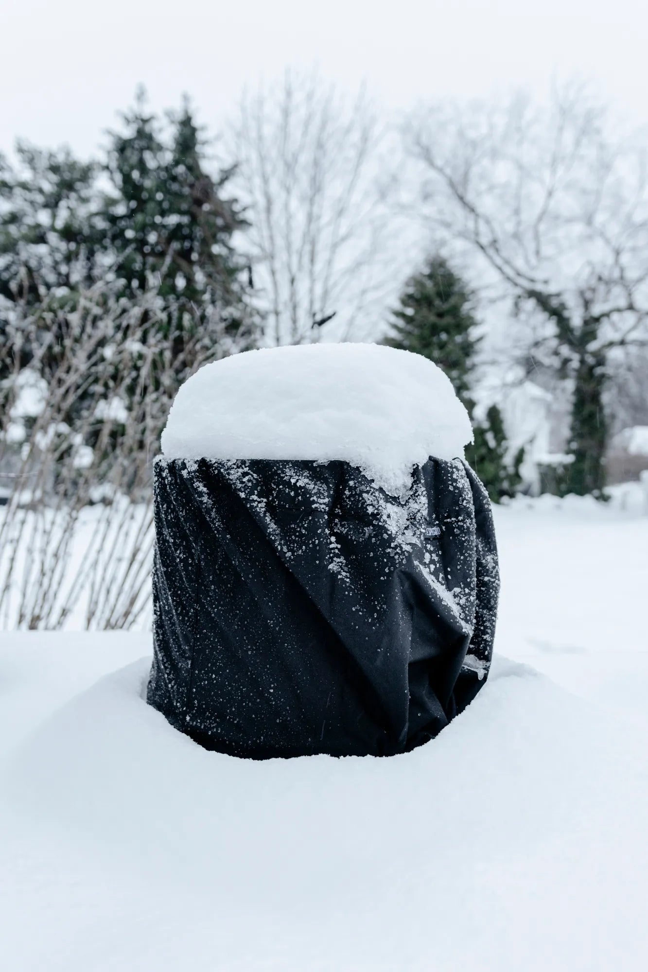 7788-env-winter-WEB-1